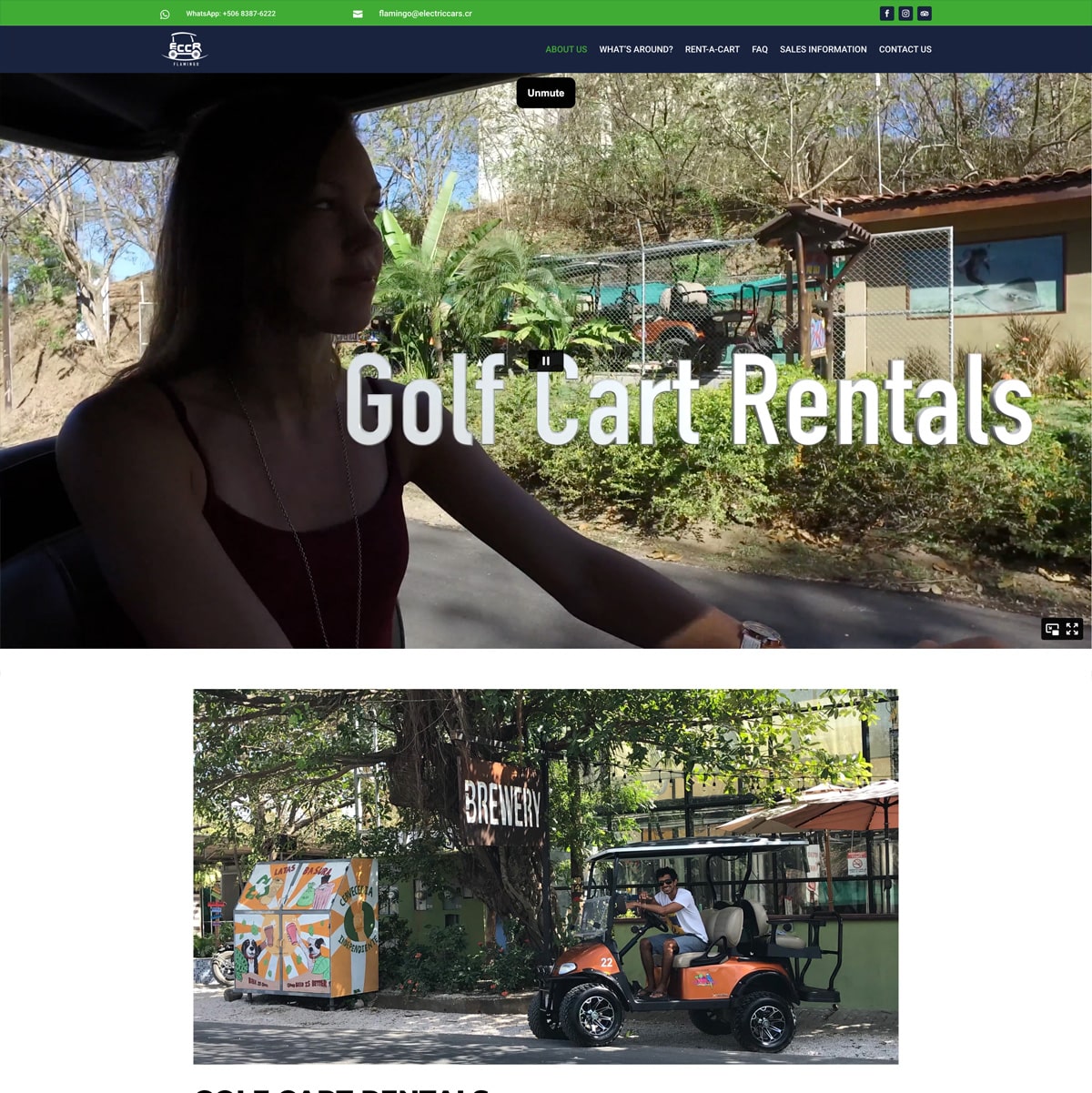 Flamingo Golf Cart Rentals